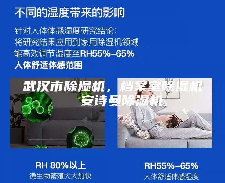 武汉市除湿机，档案室除湿机  安诗曼除湿机