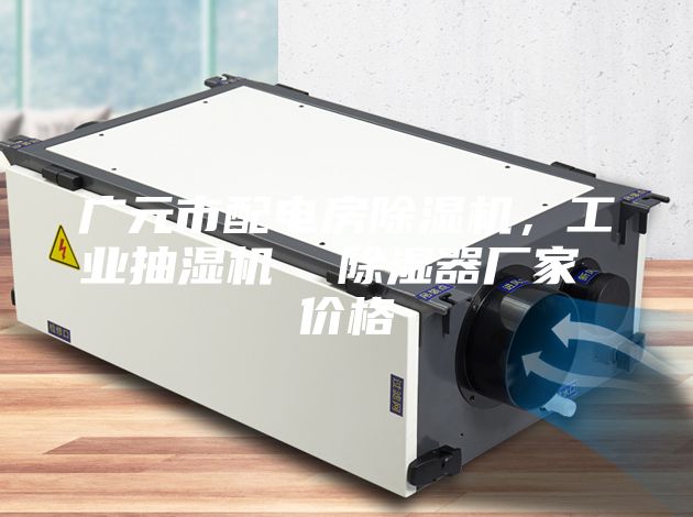 广元市配电房除湿机，工业抽湿机  除湿器厂家 价格