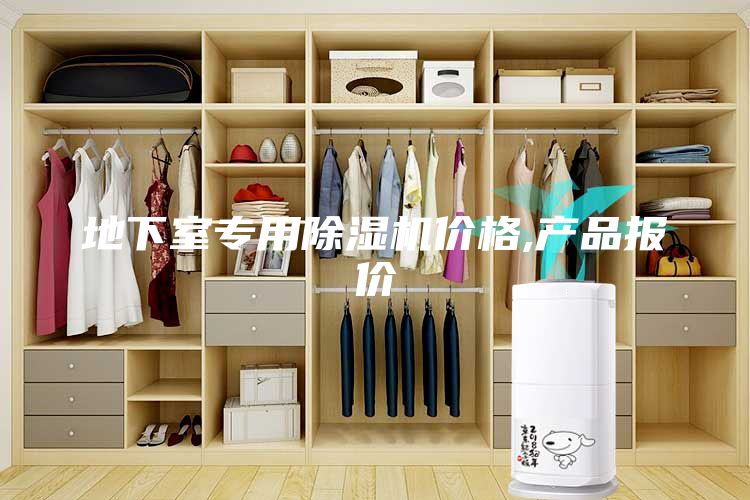 地下室专用除湿机价格,产品报价
