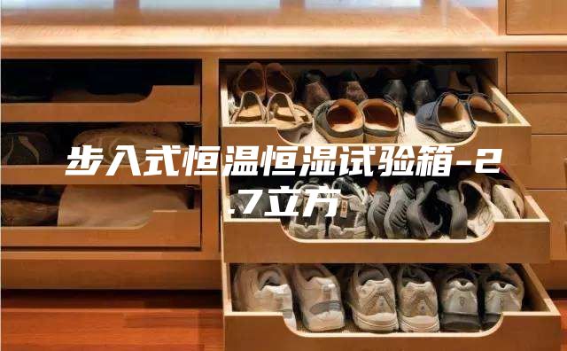 步入式恒温恒湿试验箱-2.7立方