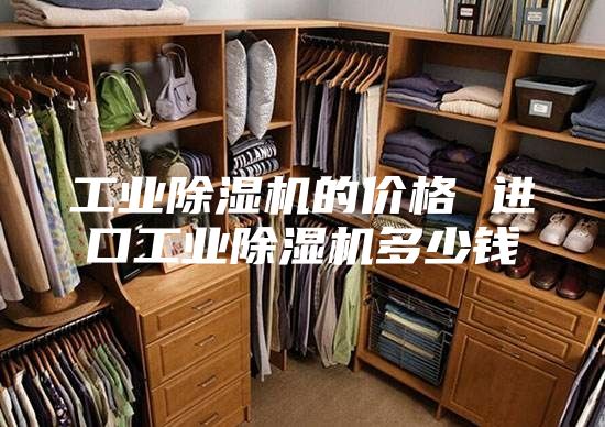 工业除湿机的价格 进口工业除湿机多少钱