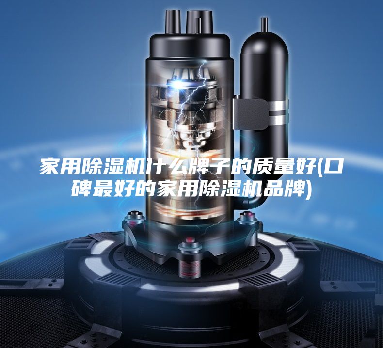 家用除湿机什么牌子的质量好(口碑最好的家用除湿机品牌)