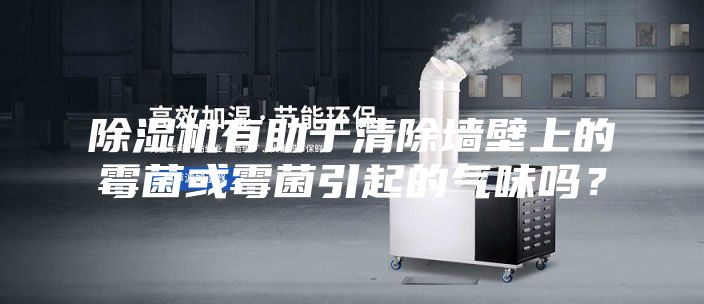 除湿机有助于清除墙壁上的霉菌或霉菌引起的气味吗？