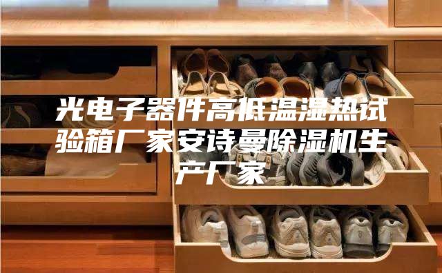光电子器件高低温湿热试验箱厂家安诗曼除湿机生产厂家