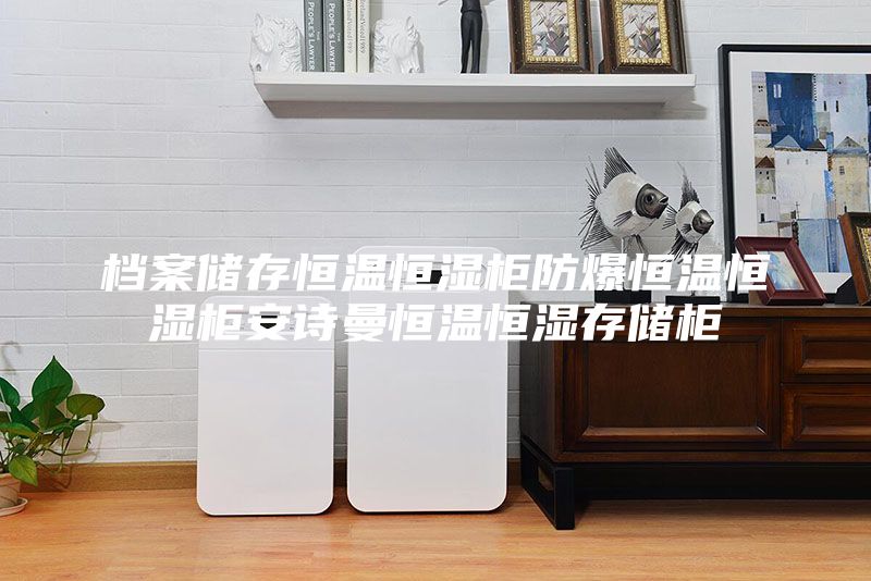 档案储存恒温恒湿柜防爆恒温恒湿柜安诗曼恒温恒湿存储柜