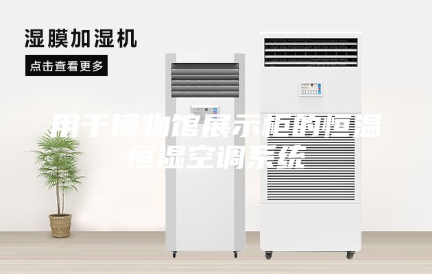用于博物馆展示柜的恒温恒湿空调系统