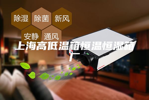上海高低温箱恒温恒湿箱厂