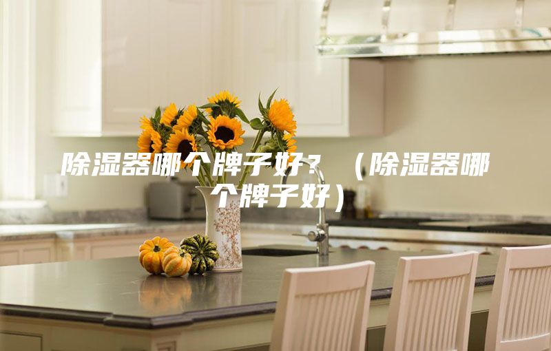 除湿器哪个牌子好？（除湿器哪个牌子好）