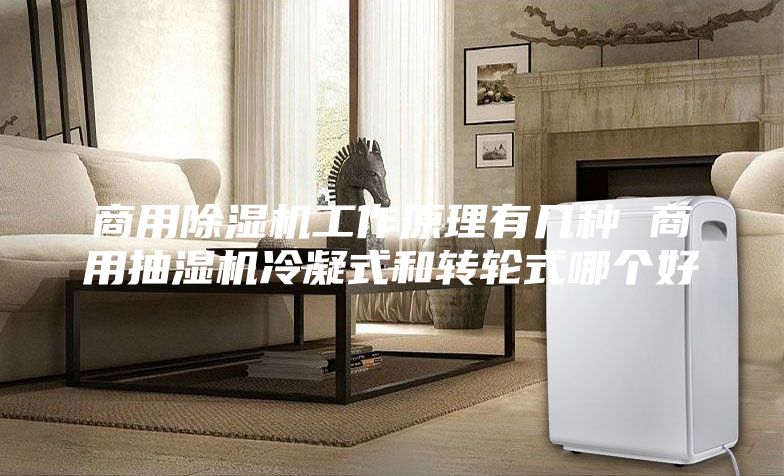 商用除湿机工作原理有几种 商用抽湿机冷凝式和转轮式哪个好