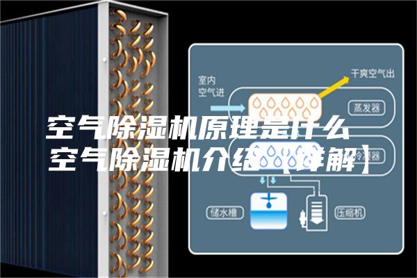 空气除湿机原理是什么 空气除湿机介绍【详解】