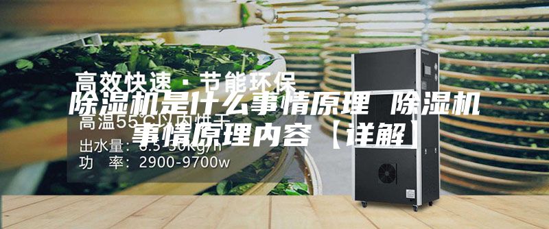 除湿机是什么事情原理 除湿机事情原理内容【详解】