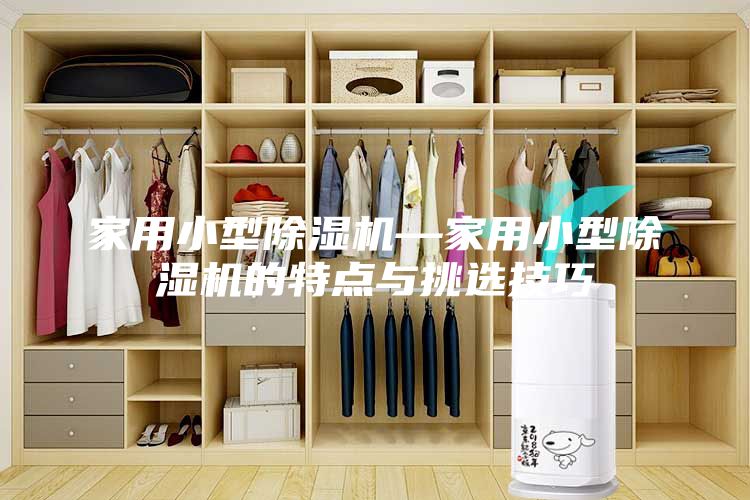 家用小型除湿机—家用小型除湿机的特点与挑选技巧