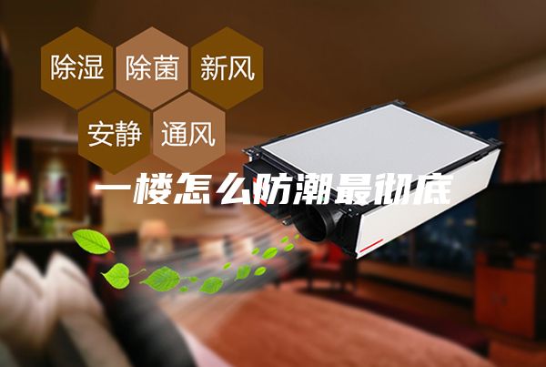 一楼怎么防潮最彻底