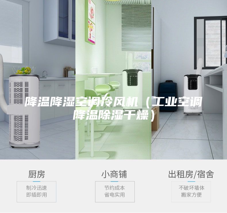 降温降湿空调冷风机(工业空调降温除湿干燥)