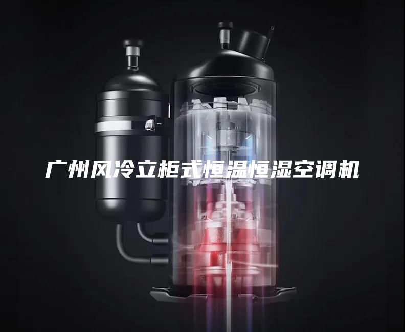 广州风冷立柜式恒温恒湿空调机