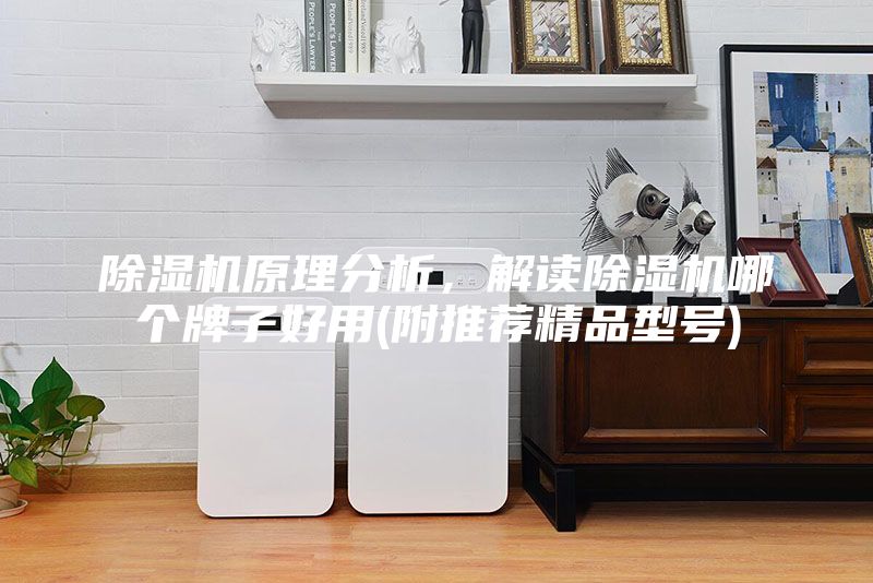 除湿机原理分析，解读除湿机哪个牌子好用(附推荐精品型号)