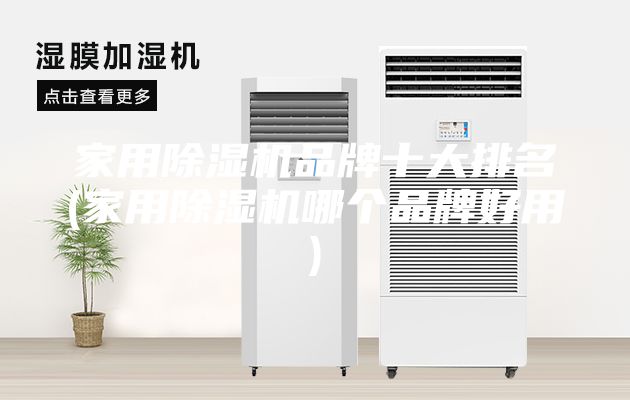 家用除湿机品牌十大排名(家用除湿机哪个品牌好用)