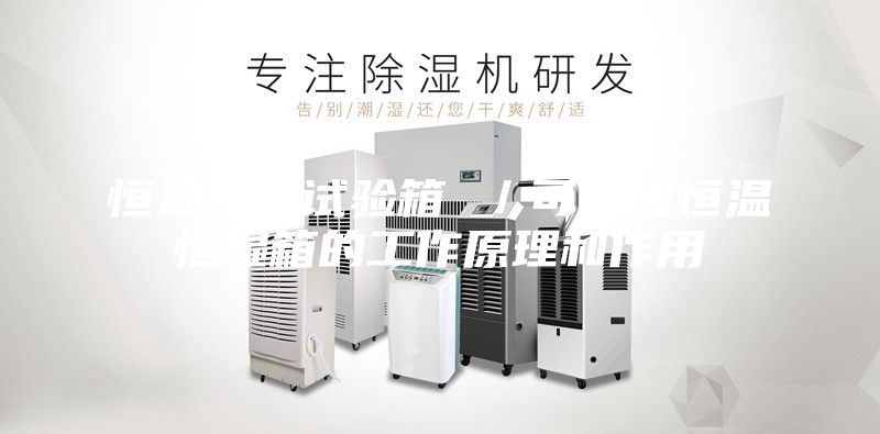 恒温恒湿试验箱 ／可编程恒温恒湿箱的工作原理和作用