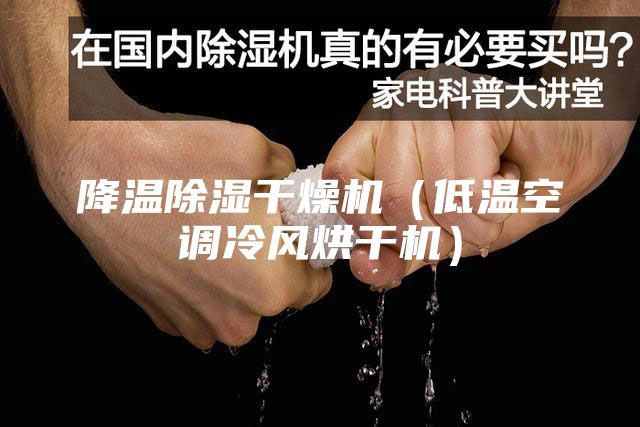 降温除湿干燥机（低温空调冷风烘干机）