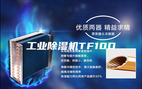 工业除湿机TF10D