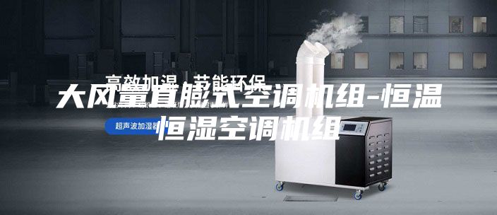 大风量直膨式空调机组-恒温恒湿空调机组