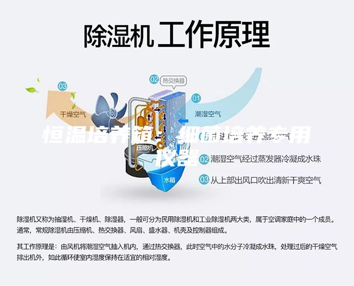 恒温培养箱：细菌培养专用仪器