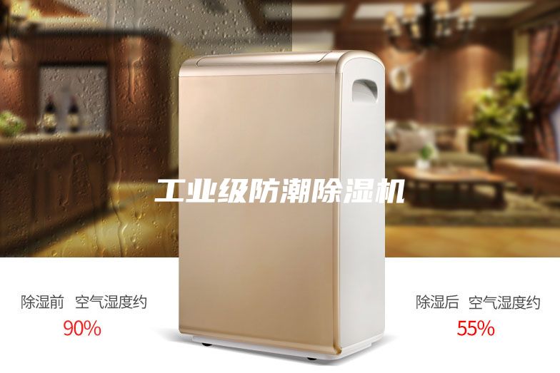 工业级防潮除湿机