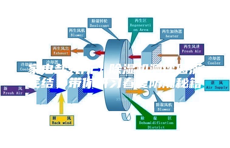 家电盐究所｜除湿机测评圆满完结，带你研习春夏防潮秘籍