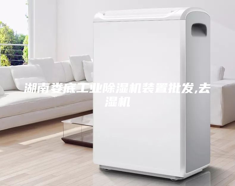 湖南娄底工业除湿机装置批发,去湿机