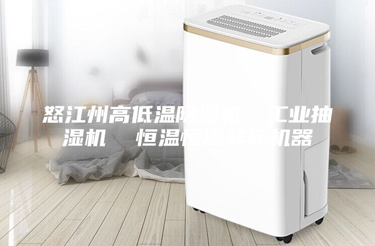 怒江州高低温除湿机，工业抽湿机  恒温恒湿非标机器