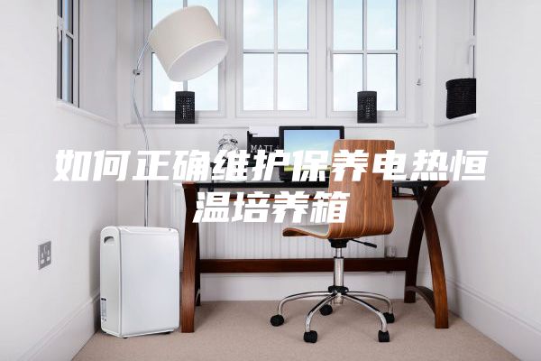 如何正确维护保养电热恒温培养箱
