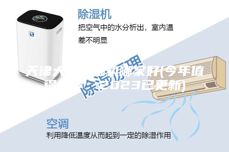 天津大型除湿机哪家好(今年值得推荐：2023已更新)