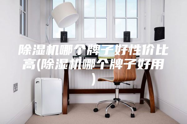 除湿机哪个牌子好性价比高(除湿机哪个牌子好用)