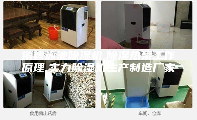 销售泳池除湿机,除湿热泵工作原理,实力除湿机生产制造厂家