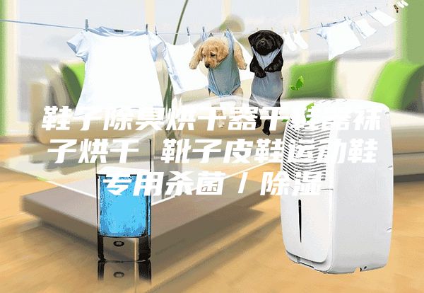 鞋子除臭烘干器干鞋器袜子烘干 靴子皮鞋运动鞋专用杀菌／除湿