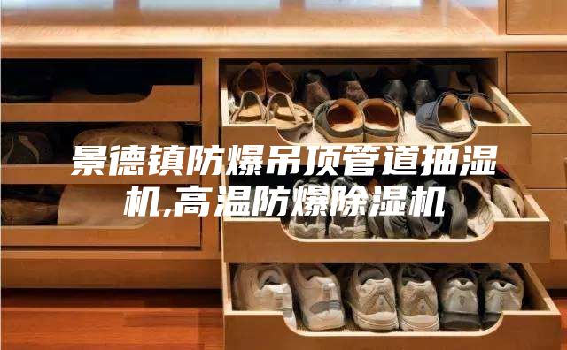景德镇防爆吊顶管道抽湿机,高温防爆除湿机