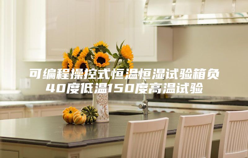 可编程操控式恒温恒湿试验箱负40度低温150度高温试验