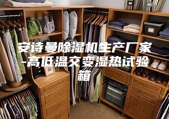 安诗曼除湿机生产厂家-高低温交变湿热试验箱