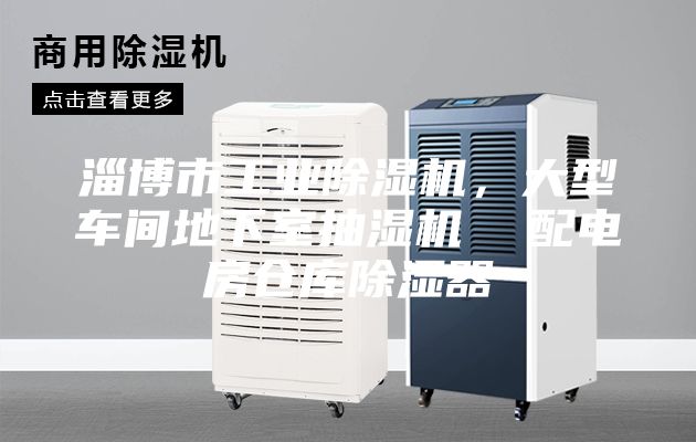淄博市工业除湿机，大型车间地下室抽湿机  配电房仓库除湿器