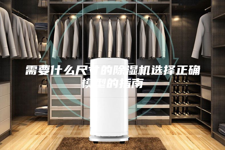 需要什么尺寸的除湿机选择正确模型的指南