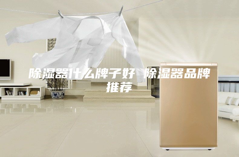 除湿器什么牌子好 除湿器品牌推荐