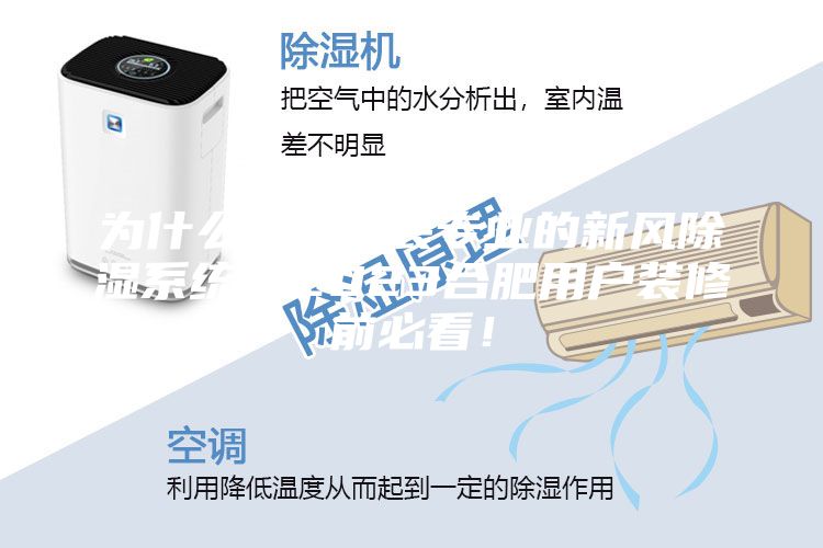 为什么需要安装专业的新风除湿系统？2023合肥用户装修前必看！