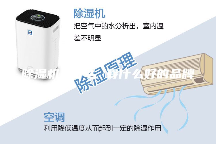 除湿机是什么 有什么好的品牌