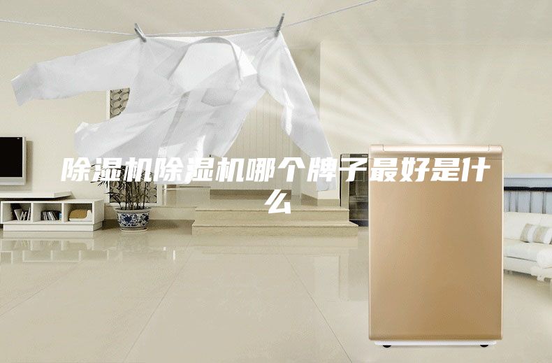 除湿机除湿机哪个牌子最好是什么