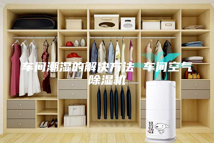 车间潮湿的解决方法 车间空气除湿机