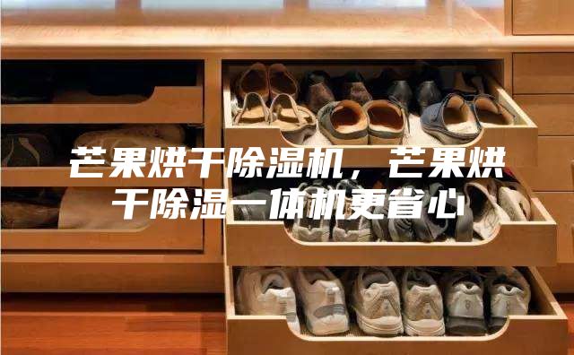 芒果烘干除湿机，芒果烘干除湿一体机更省心