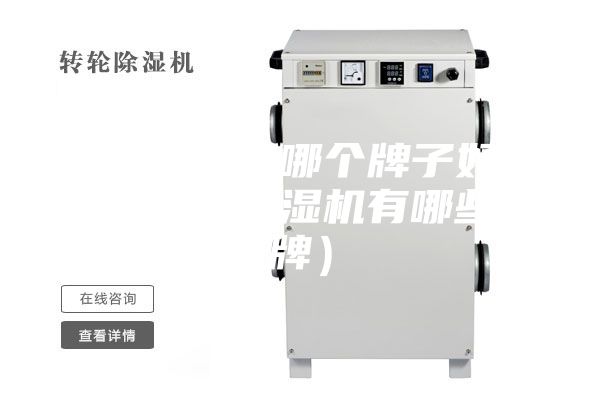空气除湿机哪个牌子好（家用空气除湿机有哪些品牌）