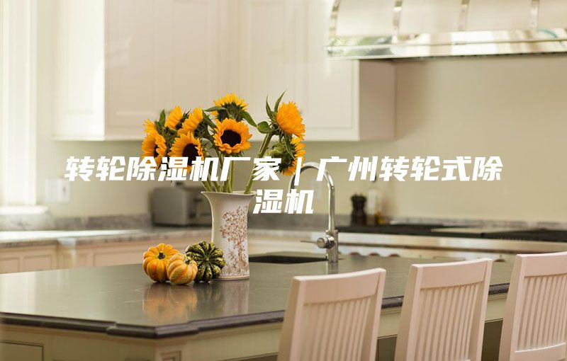 转轮除湿机厂家｜广州转轮式除湿机