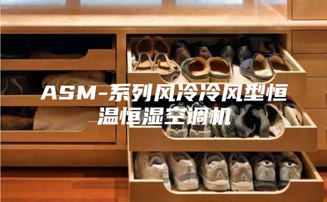 ASM-系列风冷冷风型恒温恒湿空调机
