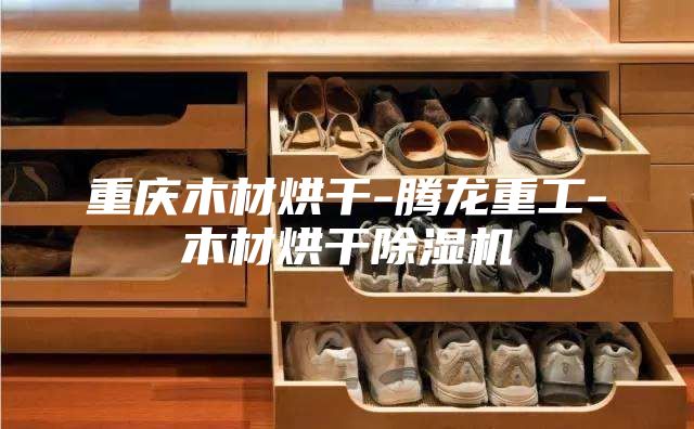重庆木材烘干-腾龙重工-木材烘干除湿机
